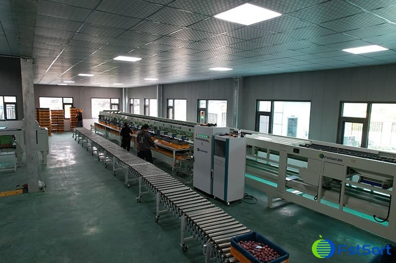 images/1665390315751plum grading machine.jpg